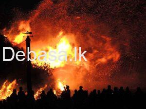 fire-in-amazon